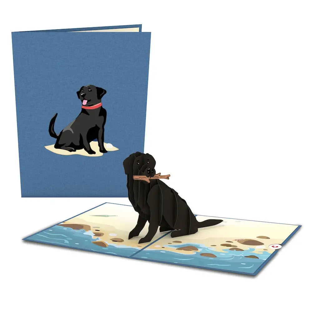 LP1789 BLACK LAB POP-UP CARD 5x7"
