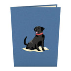 LP1789 BLACK LAB POP-UP CARD 5x7"