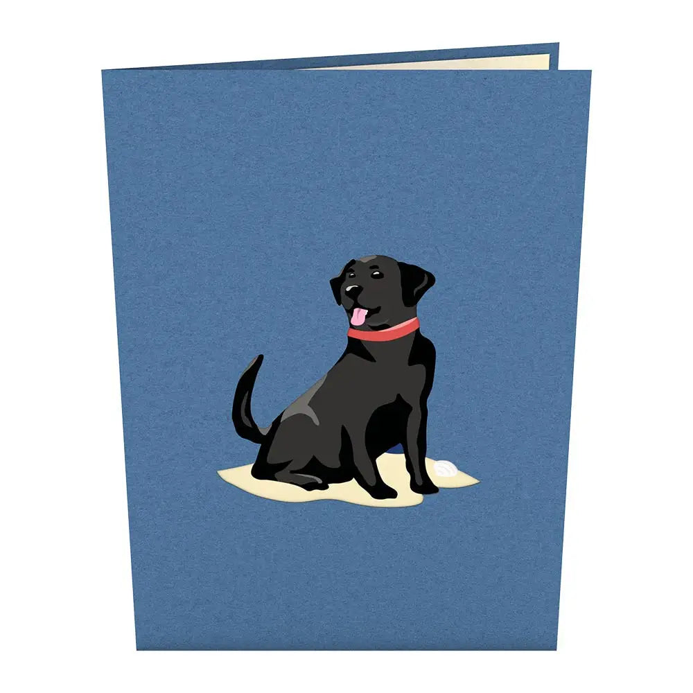 LP1789 BLACK LAB POP-UP CARD 5x7"