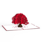 LP1592 JAPANESE MAPLE POP-UP CARD 5x7"