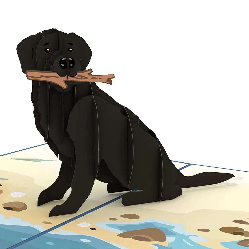 LP1789 BLACK LAB POP-UP CARD 5x7"