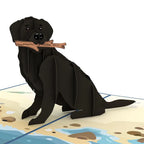 LP1789 BLACK LAB POP-UP CARD 5x7"