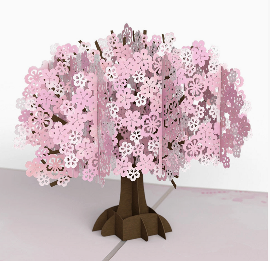 Cherry Blossom Pop-Up Cards 5 x 7 inches