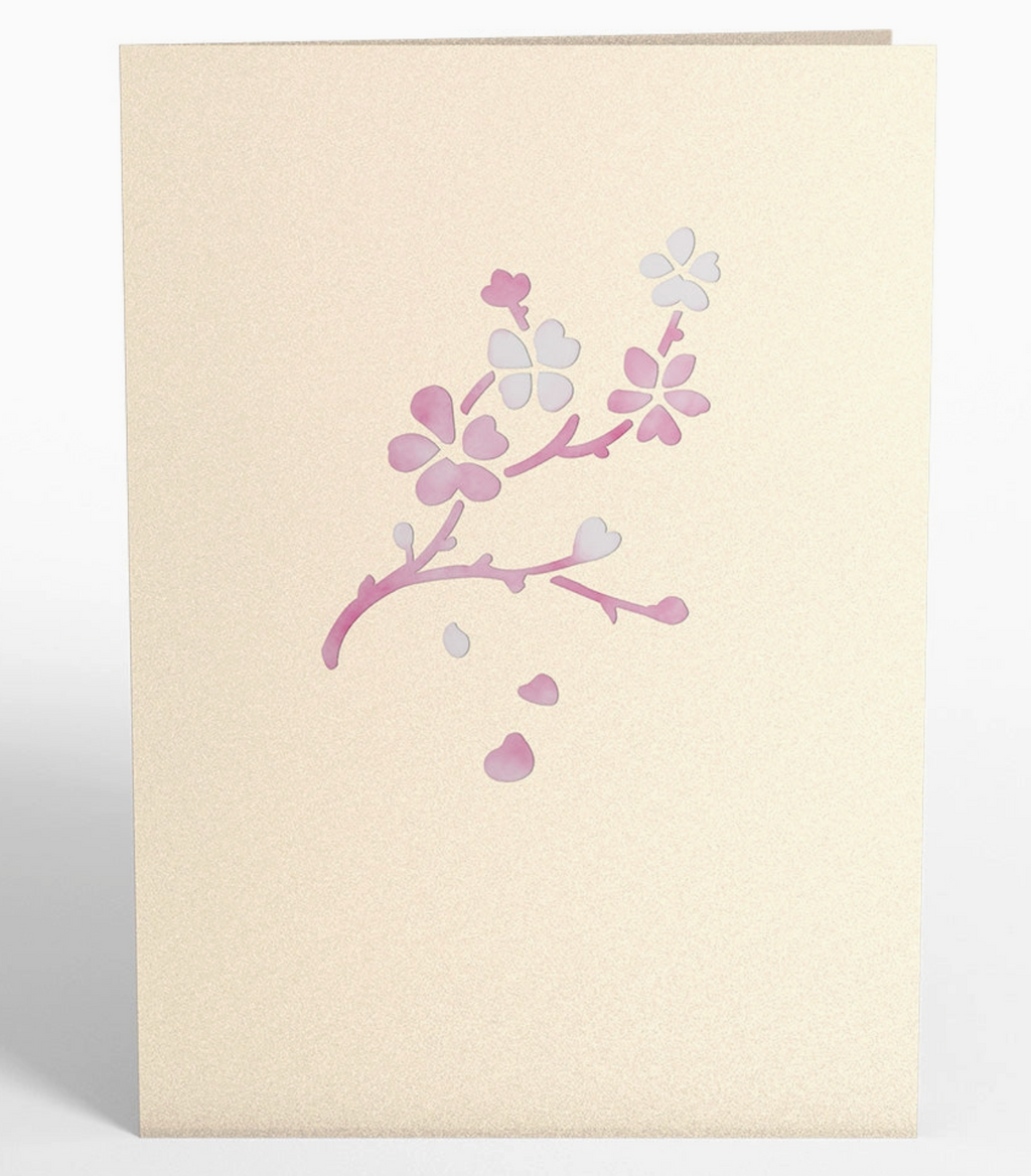 Cherry Blossom Pop-Up Cards 5 x 7 inches