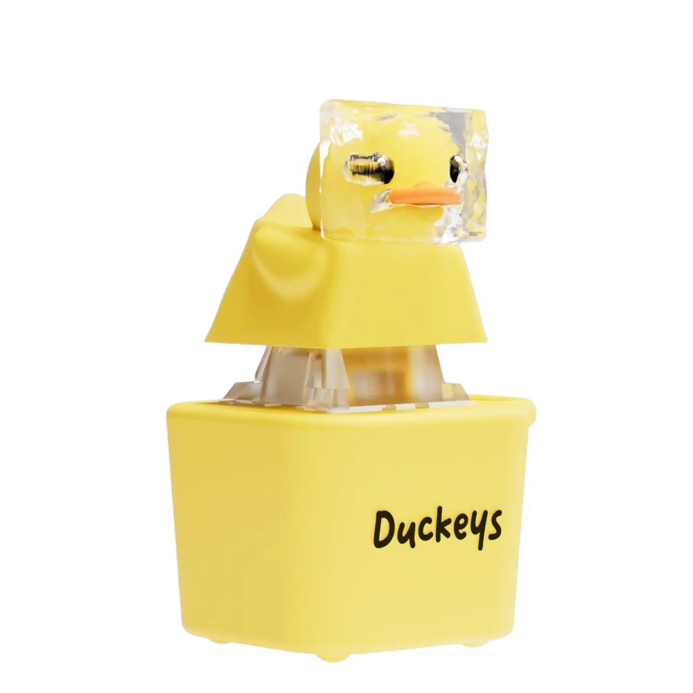 BQ-G190 MYSTERY QUACKEY S2 - FIDGET TOY THAT QUACKS!