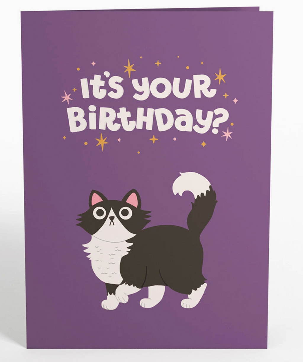 Your gift is in the litter box. Pop-up cat birthday card 5x7"