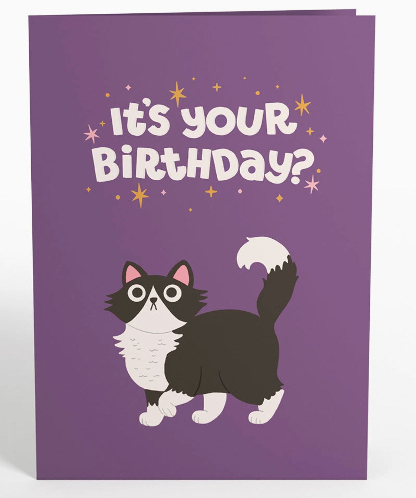 Your gift is in the litter box. Pop-up cat birthday card 5x7"
