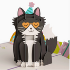 Your gift is in the litter box. Pop-up cat birthday card 5x7"