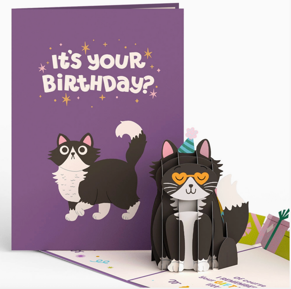 Your gift is in the litter box. Pop-up cat birthday card 5x7"