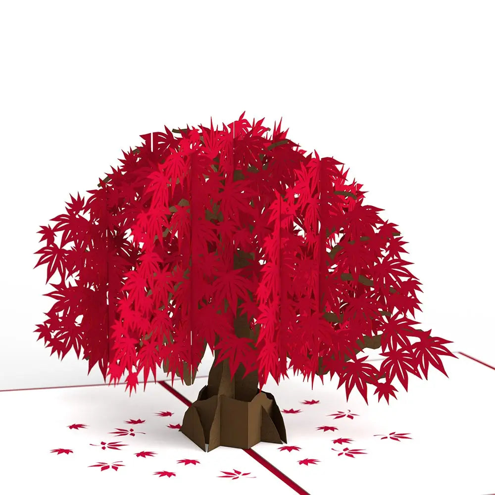 LP1592 JAPANESE MAPLE POP-UP CARD 5x7"